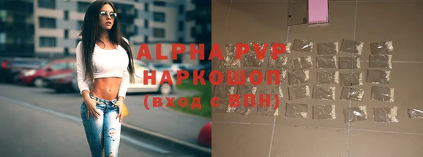 гашик Михайлов