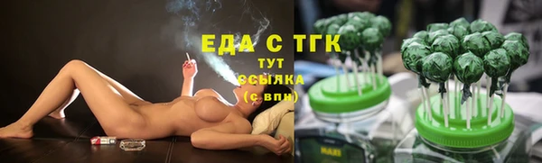 гашик Михайлов