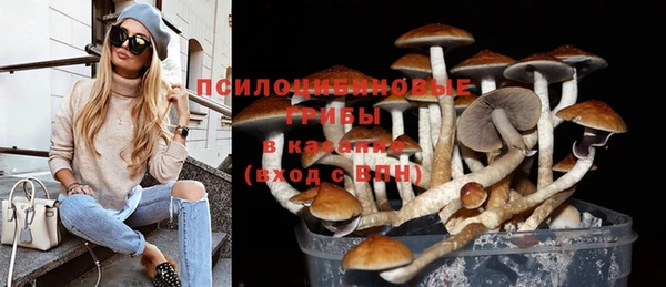 мяу мяу мука Медногорск