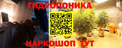 a pvp Аргун