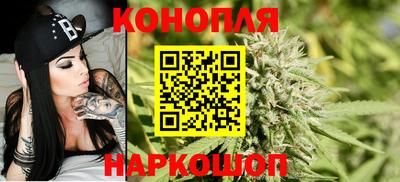 a pvp Аргун