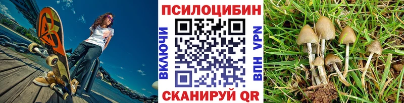 Псилоцибиновые грибы мицелий  Набережные Челны 