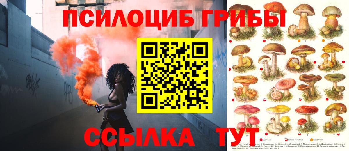 Галлюциногенные грибы ЛСД Набережные Челны