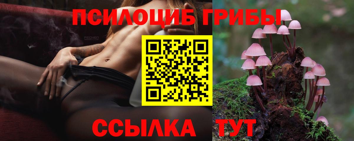 Набережные Челны  Галлюциногенные грибы прущие грибы  Вход с VPN 